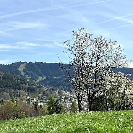 Vue Pistes Proche Gérardmer