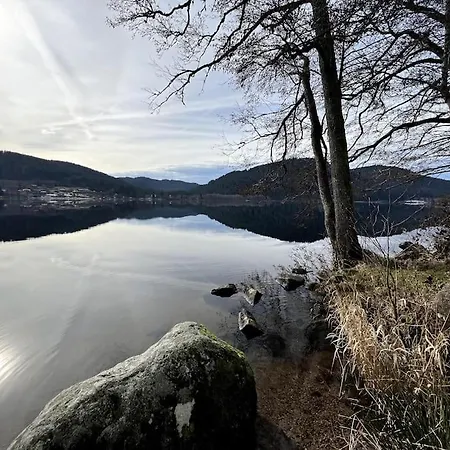 Vue Pistes Proche Gérardmer