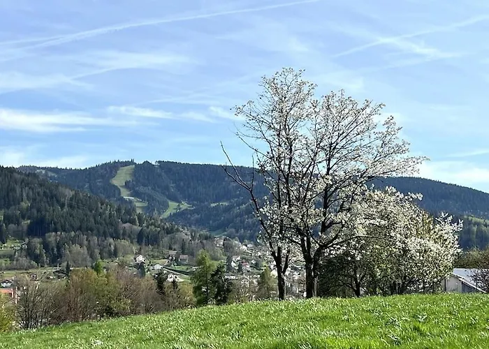 Les Deux Maisons - Le 68 - Et Balcon Vue Pistes Proche Gérardmer