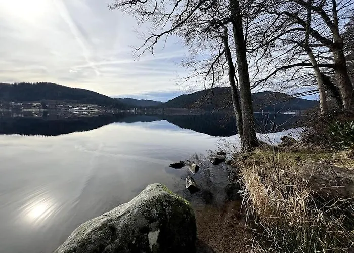 Les Deux Maisons - Le 68 - Et Balcon Vue Pistes Proche Gérardmer